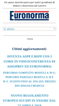 Mobile Screenshot of euronorma.it